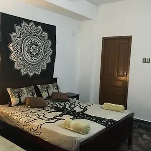 Zen House Гостевой дом